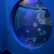 ͛℞の画像