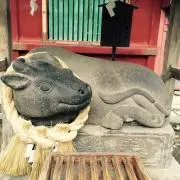 Mtownの画像