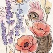 めめみ