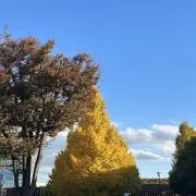 kiiiiijの画像