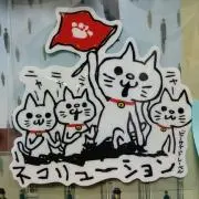 カズ