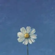 りつの画像