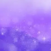 うさぎの画像