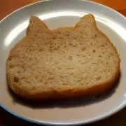 yaiの画像
