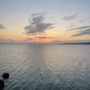よろしく