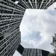 peterの画像