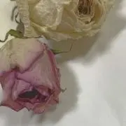 a__ismr19☆即購入大歓迎☆の画像