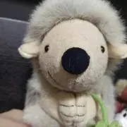 のんのんの画像