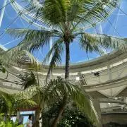 Kamseaの画像
