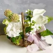 さくさくの画像