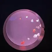 晶プロフ必読⭐︎⭐︎⭐︎の画像