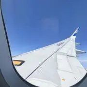 あんにんの画像