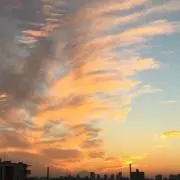 おかんの画像