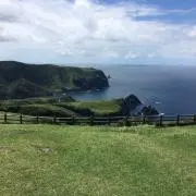 komameの画像