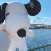 Hana【即購入可❣️】フォロー割◎✨の画像