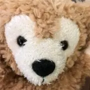 ちょこ(プロフご確認下さい)の画像
