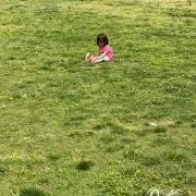 おまめさんの画像