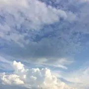 かおちん
