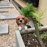 みる