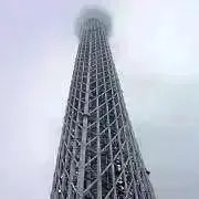✴︎プロフ必読願います✴︎の画像