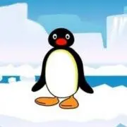 Pの画像