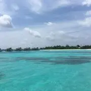 たいちの画像