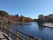 ham3の画像