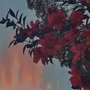 ざく@プロフ必読