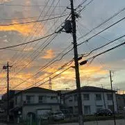 オリーブ