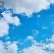 まきまきの画像