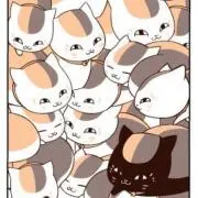 もかの画像