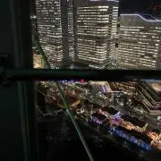 Miyaの画像