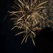 みぞちの画像