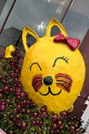 kikiraraの画像