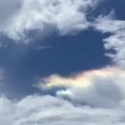 ®️の画像