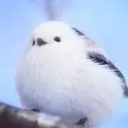 ぴーたんの画像