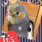 Chiro.