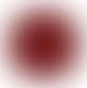 ささみの画像