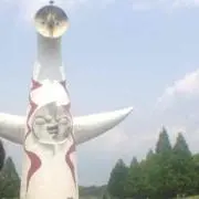 YOTの画像