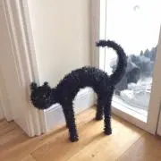 まりも