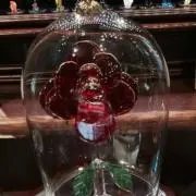ユピヲ