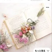 cherryの画像
