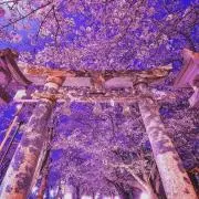 海風の画像