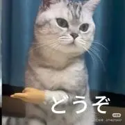 koyomiの画像