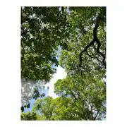 HeyJの画像