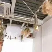 tm￤出品中のもの全て在庫ありの画像