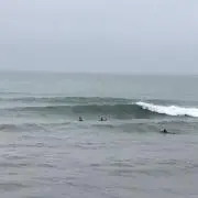 ユウヤ