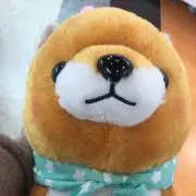 kkの画像