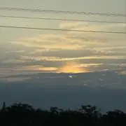 CHUM50の画像