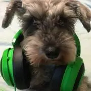 KVC